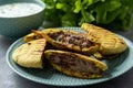 Meat stuffed pita bread and tzatziki dip. Royalty Free Stock Photo