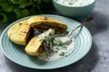 Meat stuffed pita bread and tzatziki dip. Royalty Free Stock Photo