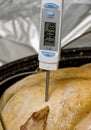 Meat thermometer