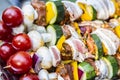 SKEWER MEAT AND VEGETABLE. SMOKED GRILL FOOD. GARDEN PARTY