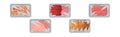 Meat Trays Keeping Food Frozen in Polyethylene Whole Package Vector Set