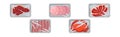 Meat Trays Keeping Food Frozen in Polyethylene Whole Package Vector Set