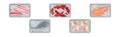 Meat Trays Keeping Food Frozen in Polyethylene Whole Package Vector Set