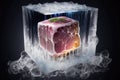 meat under ice cube chilled concept