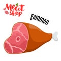 Meat vector - gammon. Fresh meat icon.