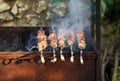 Meat And Vegetable Kebabs On The Hot BBQ Grill. Flaming Charcoal In The Background. Snack For Outdoor Summer Barbeque Party. Royalty Free Stock Photo