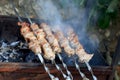 Meat And Vegetable Kebabs On The Hot BBQ Grill. Flaming Charcoal In The Background. Snack For Outdoor Summer Barbeque Party. Royalty Free Stock Photo