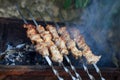Meat And Vegetable Kebabs On The Hot BBQ Grill. Flaming Charcoal In The Background. Snack For Outdoor Summer Barbeque Party. Royalty Free Stock Photo