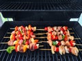 Meat and vegetable skewers on a barbecue grill Royalty Free Stock Photo