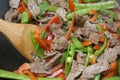 Meat and Vegetable Stir-fry