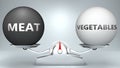 Meat and vegetables in balance - pictured as a scale and words Meat, vegetables - to symbolize desired harmony between Meat and