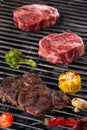 Raw Meat and vegetables char-grilled over flame Royalty Free Stock Photo