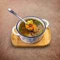 Meat and vegetables soup Royalty Free Stock Photo