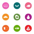 Meat yummy icons set, flat style