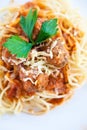 Meatball spaghetti with sauce