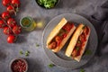 Meatball sub sandwich with cheese and marinara tomato sauce. american italian fast food Royalty Free Stock Photo