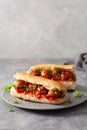 Meatball sub sandwich with cheese and marinara tomato sauce. american italian fast food Royalty Free Stock Photo