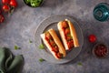 Meatball sub sandwich with cheese and marinara tomato sauce. american italian fast food Royalty Free Stock Photo