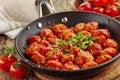 Meatballs with tomato sauce Royalty Free Stock Photo