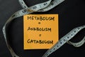 Meatbolism - Anabolism - Catabolism write on sticky notes isolated on office desk