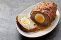 Meatloaf with egg filling Royalty Free Stock Photo