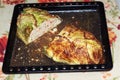 Meatloaf in Savoy cabbage leaves, oven-baked in baking tray full of its own juice. piece is cut out of the middle, texture of a Royalty Free Stock Photo