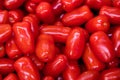 Meaty organic tomato in pile at market tray or grocery shelf close-up, for abstract background Royalty Free Stock Photo