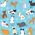 Meaw Pattern Vector