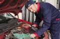 Mechanic Checking Engine Royalty Free Stock Photo