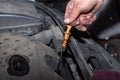 Mechanic checks the oil level in the car