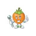 Mechanic cute persimmon cartoon style with mascot