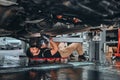 The mechanic holding wrench in hand for fix car. Strong Man fix under the car in garage with wrench Royalty Free Stock Photo