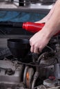 Mechanic pouring oil into car engine Royalty Free Stock Photo