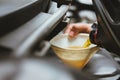 mechanic pouring oil to vehicle engine. serviceman changing motor oil in automobile repair service. maintenance & checkup in car Royalty Free Stock Photo