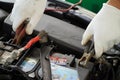 Mechanic is using electric car battery charger through jumper wires Royalty Free Stock Photo