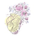 Mechanical Anatomical human heart with flowers roses line art drawing.Floral heart liner drawing vector illustration