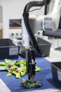 Mechanical arm robotic arm in production