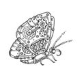 Mechanical butterfly animal engraving vector