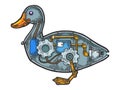 Mechanical duck bird animal sketch engraving