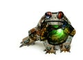 Mechanical Frog Toad Collage 3D Illustration Royalty Free Stock Photo