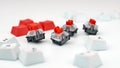 Mechanical keyboard switches. Red switches of the gaming mechanical keyboard, selective focus Royalty Free Stock Photo