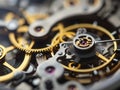 Mechanical watch inside with spring mechanism and gears rotating extreme macro. Royalty Free Stock Photo