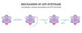 Mechanism of ATP synthase Royalty Free Stock Photo