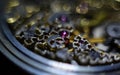 Skeleton hours. Antique antique clockwork, jewelry engraving. mechanical pocket watch close-up, selective focus.