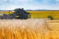 The mechanism of the mower harvester in ears of wheat.