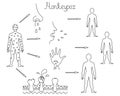 The mechanism of transmission of monkeypox. Diagram of human-to-human transmission of the smallpox virus. Sketch.