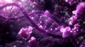 Mechanisms that ensure accurate genome duplication are shown through coordination of DNA replication and cell cycle