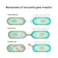 Gene transfer. horizontal Mechanisms Royalty Free Stock Photo