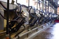 Mechanized milking equipment Royalty Free Stock Photo