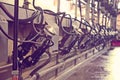 Mechanized milking equipment Royalty Free Stock Photo